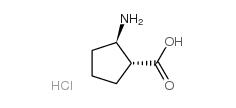 Cyclopentanecarboxylicacid, 2-amino-, hydrochloride, (1R-trans)- (9CI)