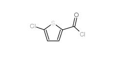 5-Chlorothiophene-2-carbonyl chloride  42518-98-9