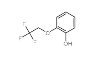 2-(2,2,2-Trifluoroethoxy)phenol  160968-99-0