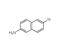 6-bromonaphthalen-2-amine  7499-66-3