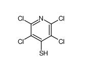 2,3,5,6-tetrachloro-1H-pyridine-4-thione  10351-06-1