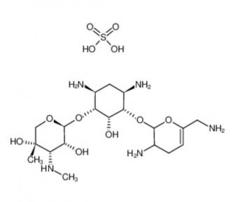 sisomycin  32385-11-8