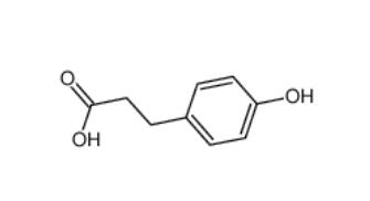 phloretic acid  501-97-3