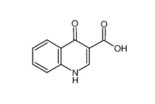 4-Oxo-1,4-dihydroquinoline-3-carboxylic acid  13721-01-2