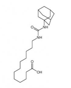 12-(1-adamantylcarbamoylamino)dodecanoic acid  479413-70-2