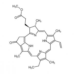 Pyropheophorbide-a methyl ester  6453-67-4