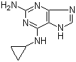 2-Amino-6-cyclopropylamino-9H-purine  120503-69-7